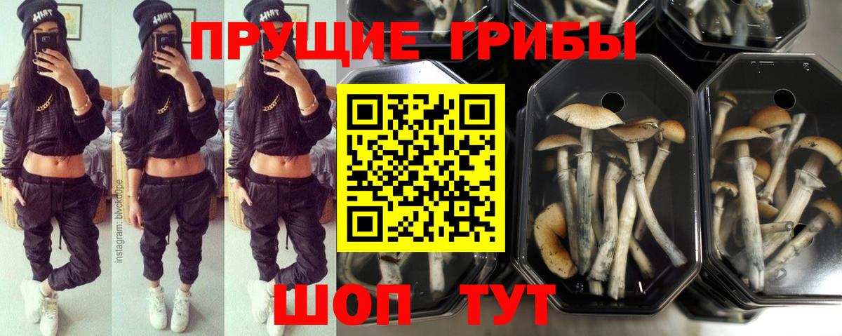 Галлюциногенные грибы мицелий Котлас